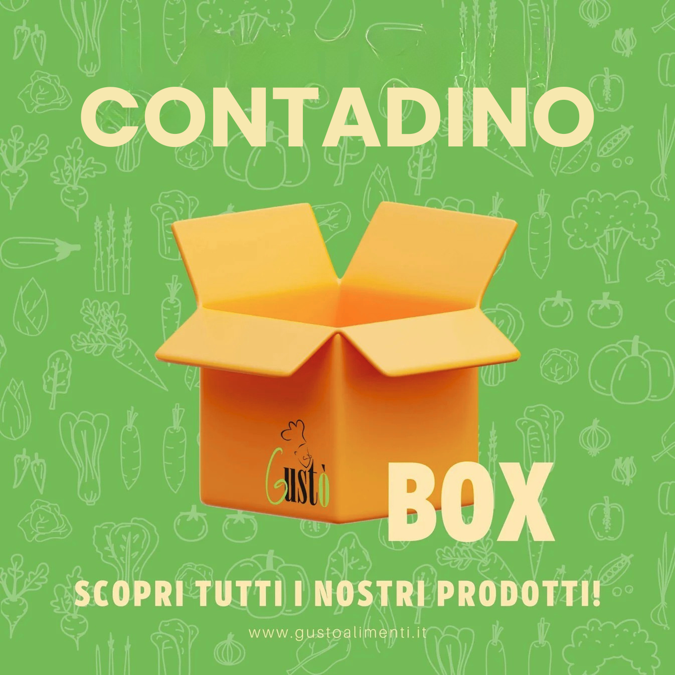 DER BAUER – Box Gustò