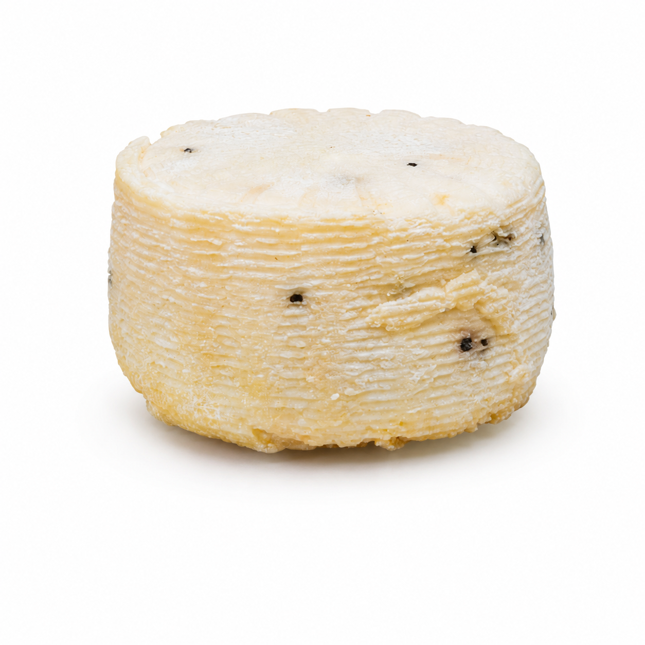Pecorino mit Trüffel