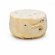Pecorino mit Trüffel
